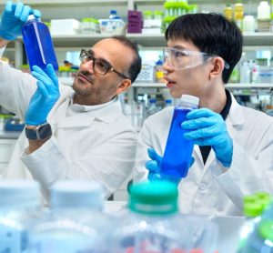 Cornell scientists develop algae-based blue dye to replace synthetic food colourants