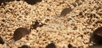 New UC Davis tool helps industry upcycle food byproducts and reduce waste