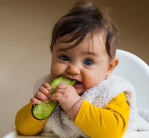 baby chewing cucumber resized