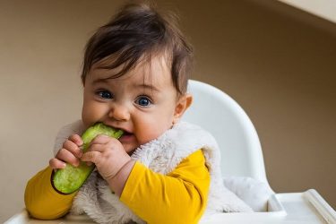 baby chewing cucumber resized