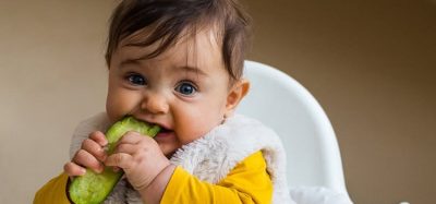baby chewing cucumber resized