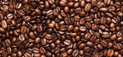 A pile of fresh coffee beans depicting the process of coffee making