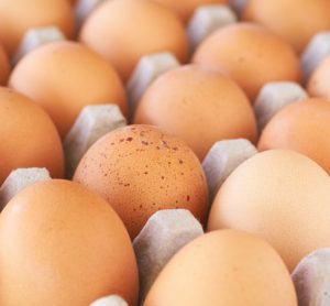 FDA recalls eggs in salmonella outbreak across 14 states