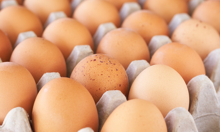 FDA recalls eggs in salmonella outbreak across 14 states