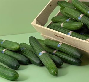 A cucumber coated with Saveggy’s edible, plant-based coating, designed to reduce plastic packaging and extend shelf life.