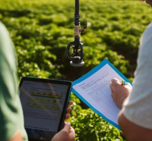 Two professionals reviewing documents in a field, discussing regenerative agriculture practices and farmer support programs.