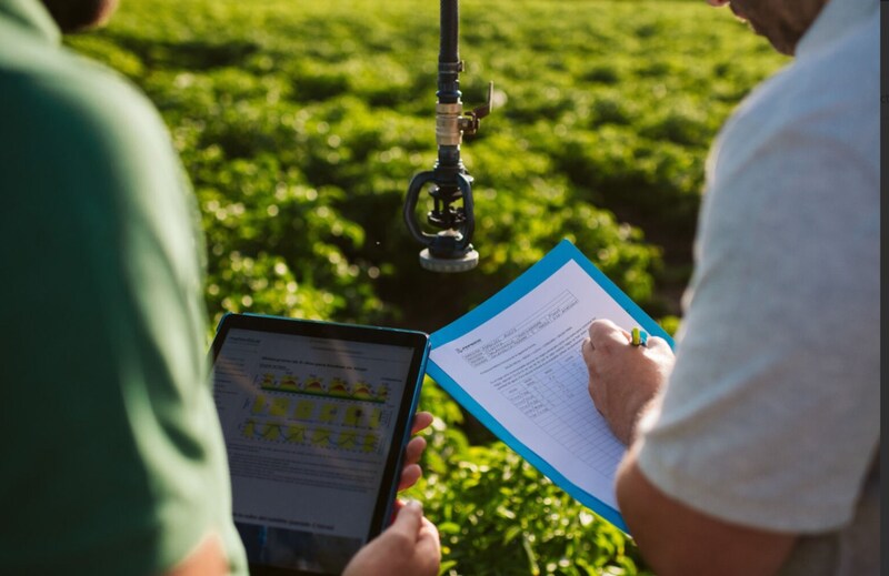 Two professionals reviewing documents in a field, discussing regenerative agriculture practices and farmer support programs.