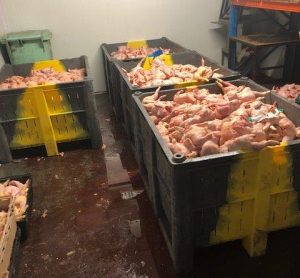 From tip-off to convictions: inside the battle against food crime