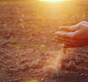 Food supply chain at risk: what the industry must do to safeguard its future