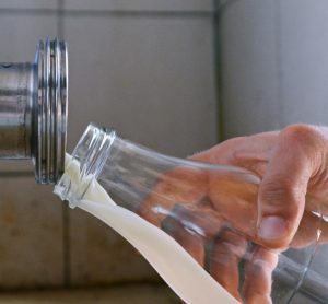 FSA launches precision fermentation innovation research programme