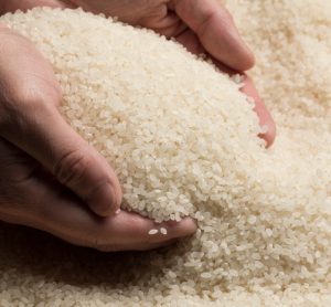 Four arrested on suspicion of fraud in counterfeit rice investigation