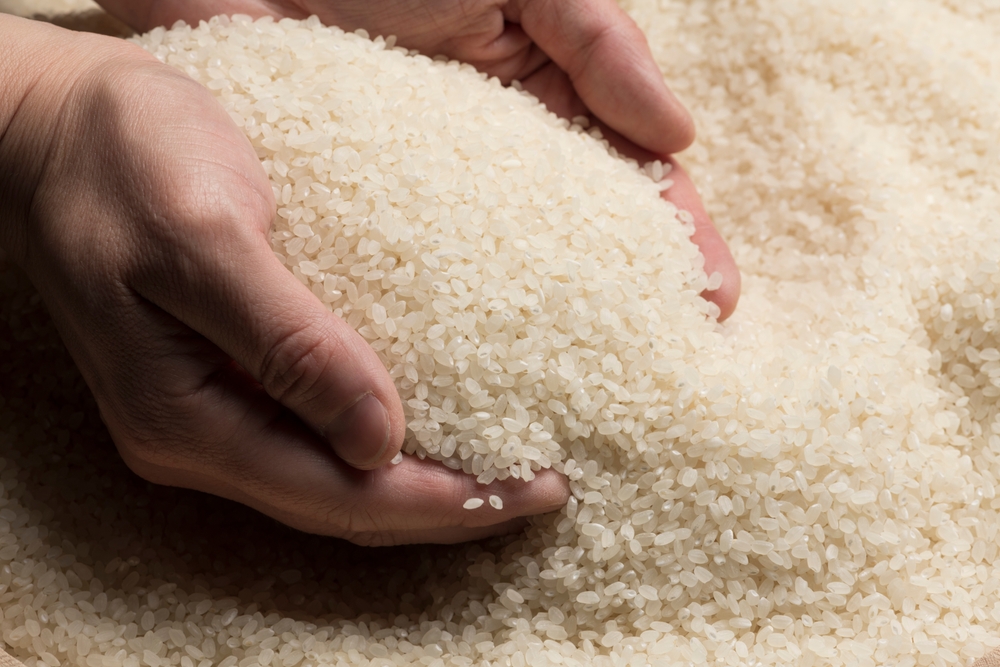 Four arrested on suspicion of fraud in counterfeit rice investigation