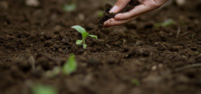 From the ground up: why non-state action will be vital for soil health at COP30