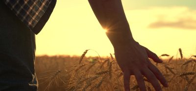 UK food system needs wartime-scale reset to protect economy and NHS