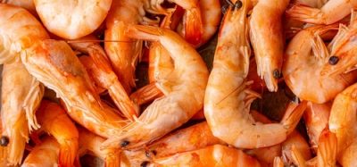 A cluster of cocktail shrimp