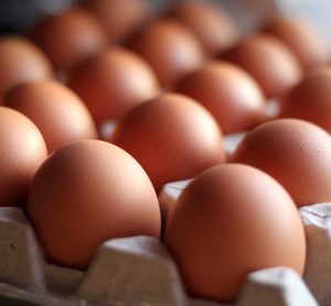 FDA expands Black Sheep Egg Company recall, upgrades to Class I over salmonella risk