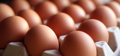 FDA expands Black Sheep Egg Company recall, upgrades to Class I over salmonella risk
