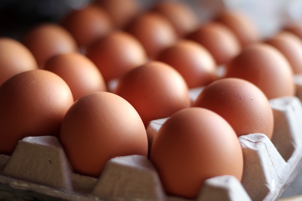 FDA expands Black Sheep Egg Company recall, upgrades to Class I over salmonella risk