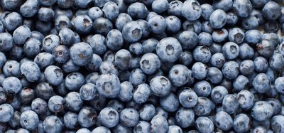 FDA escalates organic blueberry recall to highest level over listeria risk