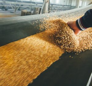 7 things to consider when improving moisture control in food production