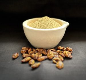 Silkworm Pupae as a sustainable, nutritious, and scalable alternative protein source for pet food