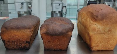 Researchers create protein-rich grasshopper bread to tackle future food insecurity