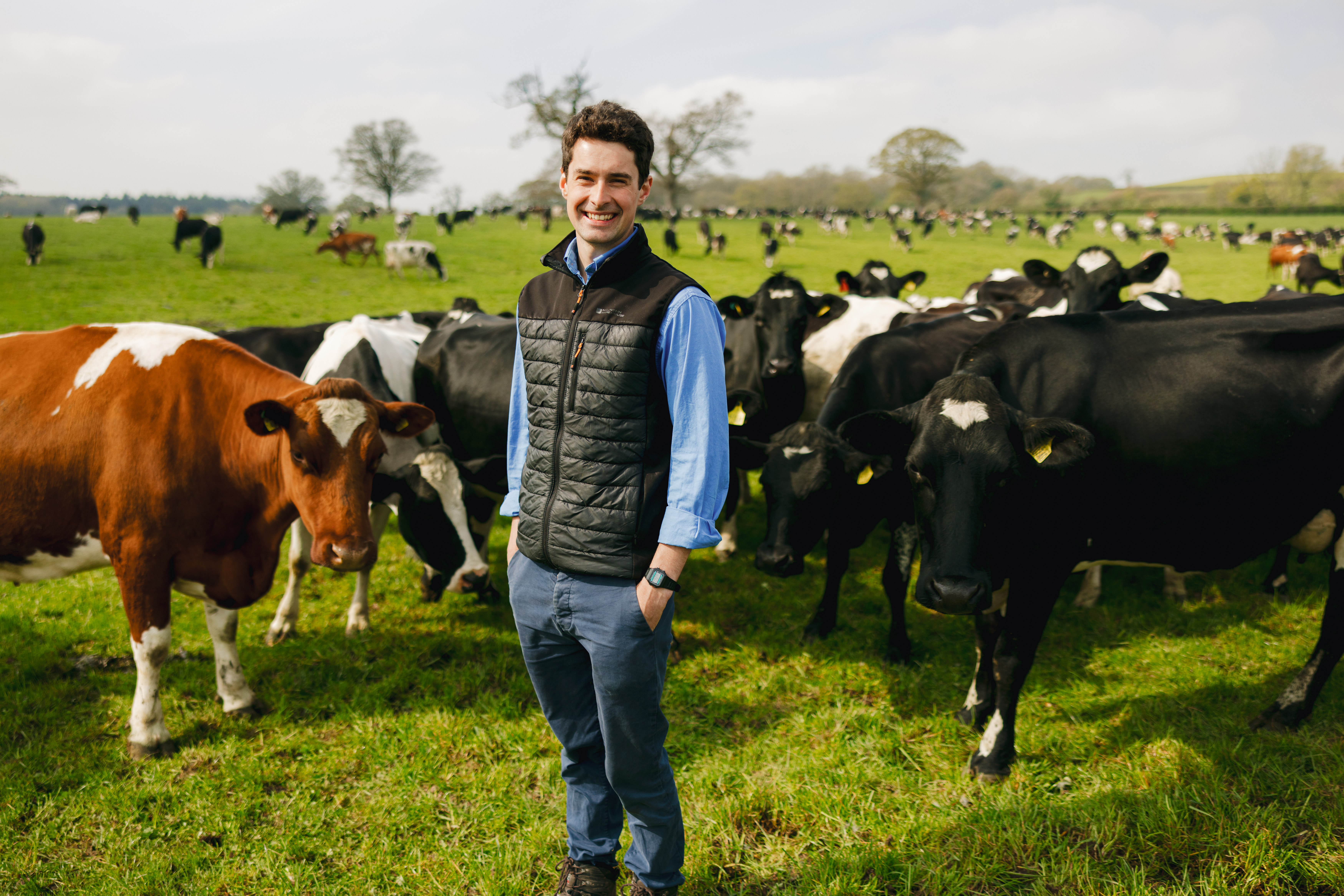 McDonald’s and Arla strengthen dairy partnership with nature-led sustainability drive