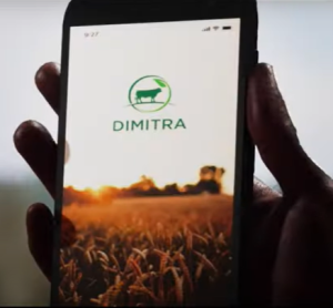 A farmers hand holds a mobile phone displaying the Dimitra Connected Farmer App