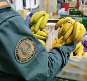 Operation OPSON: the world’s annual stress-test for food crime is sending a louder alarm than ever