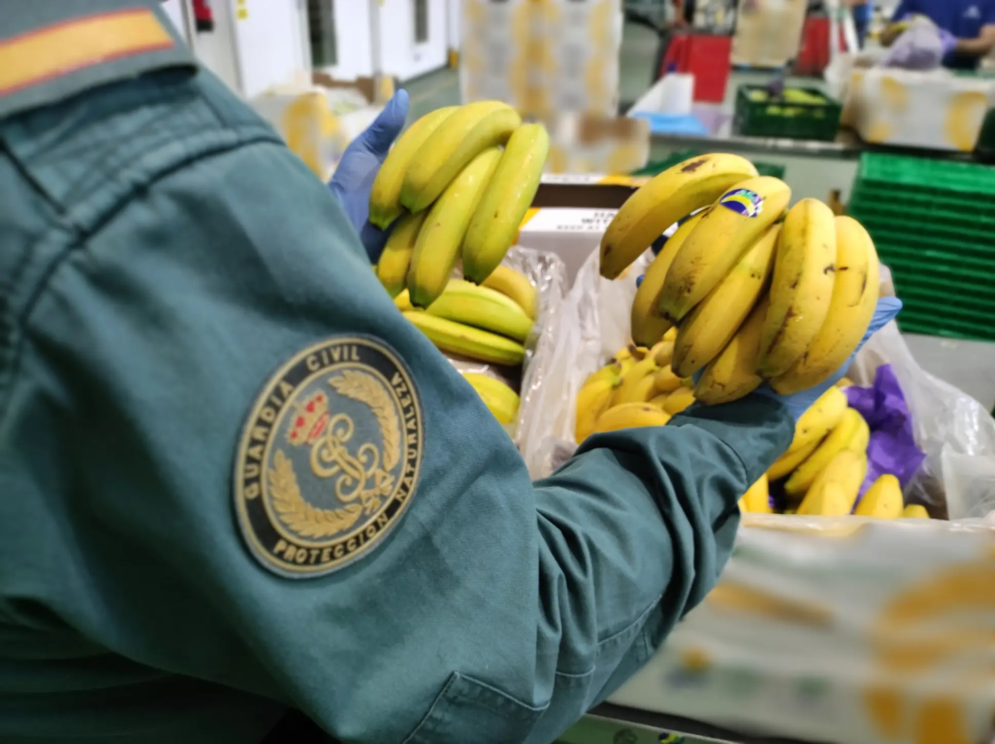 Operation OPSON: the world’s annual stress-test for food crime is sending a louder alarm than ever